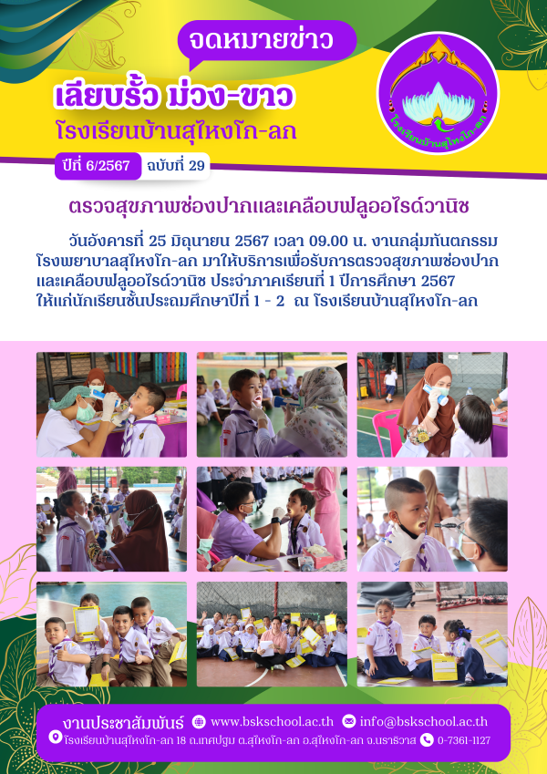 29 junal